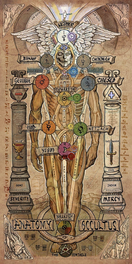 Anatomy Occultus By Chuk Art Art Everything Occult